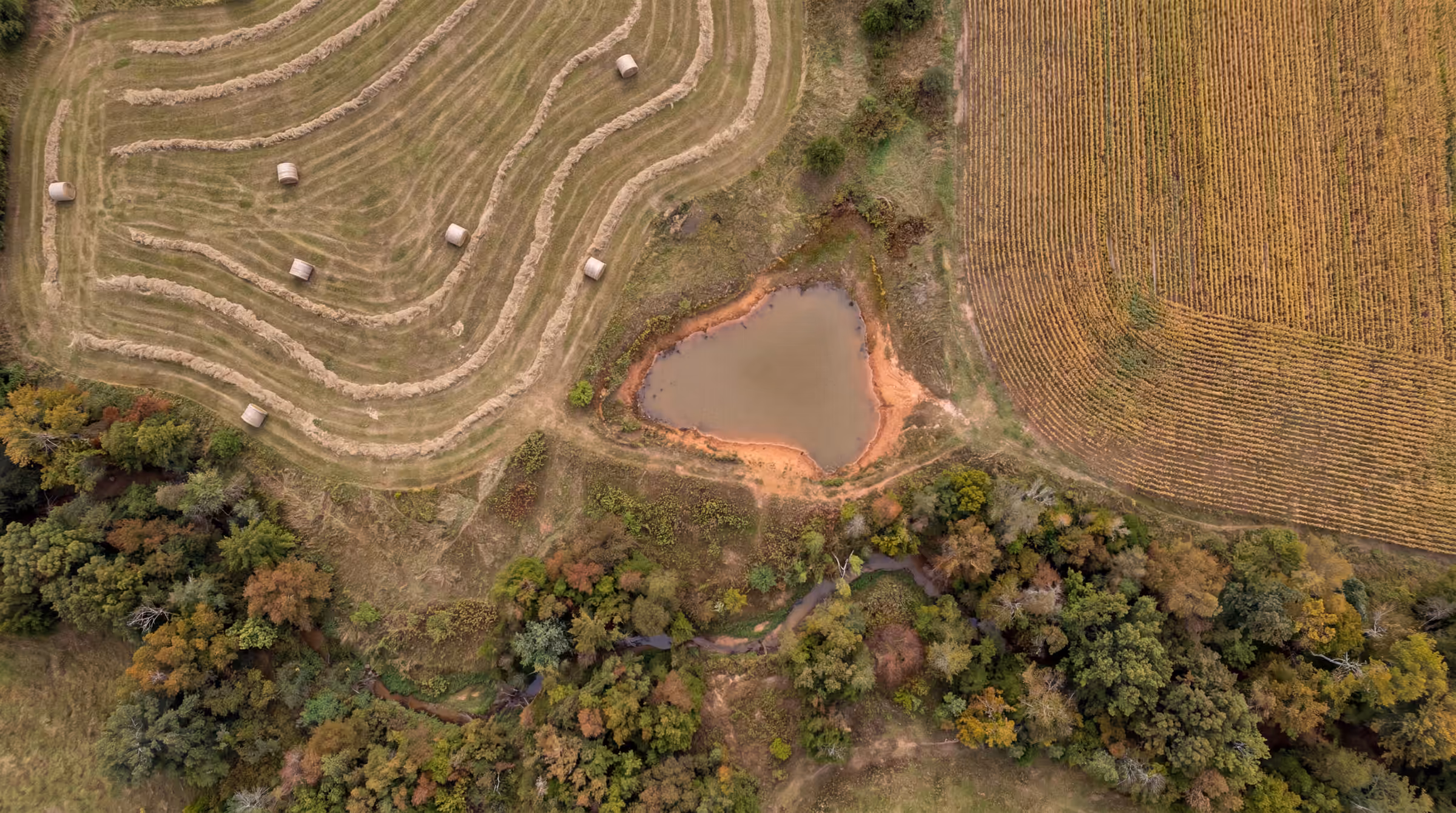 Illustrative: top-down aerial map of an Ozark hay meadow with round bales, a farm pond, a soybean field and a wooded creek
